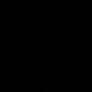 Meet your Posher, Briana